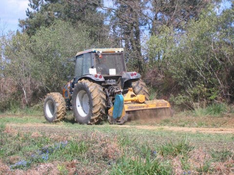 Especialistas en desbroce de parcelas y fincas en Girona